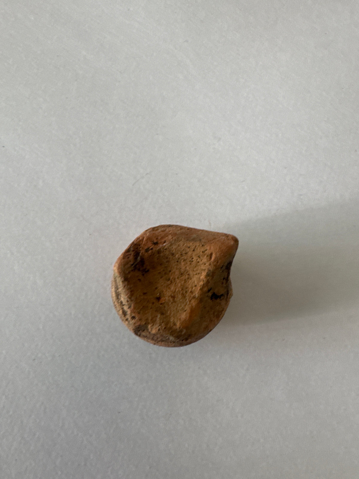 Clay pot lid found in house of Hz Ali and Sayudina Fatima House MADINA SAUDI ARABIA