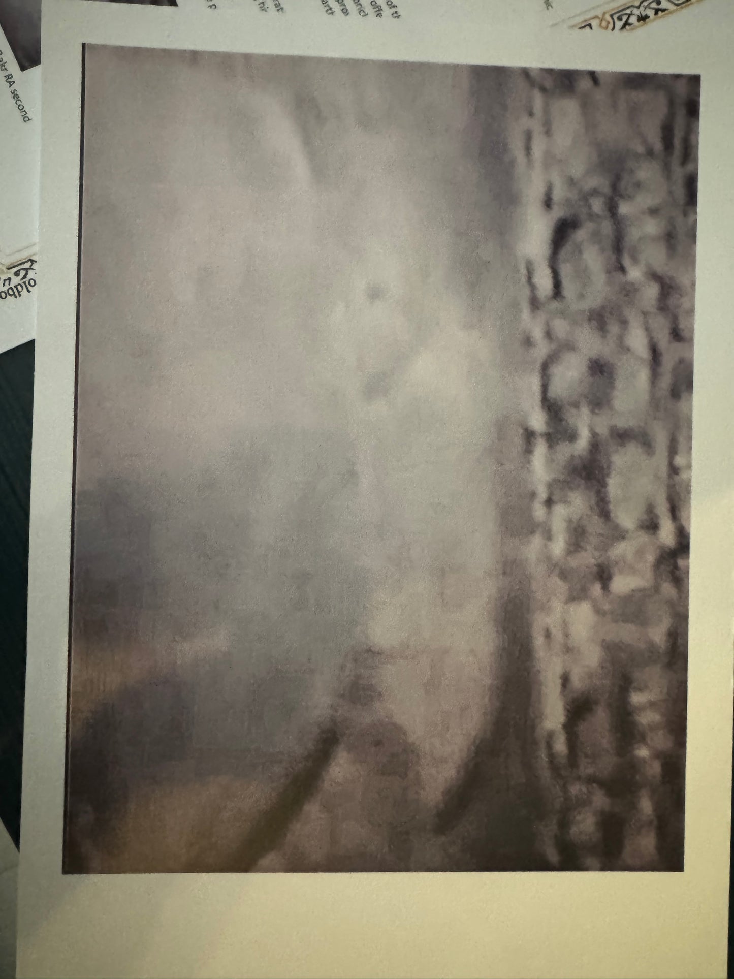 Rare photo of Prophet mohammed ﷺ chamber Madina