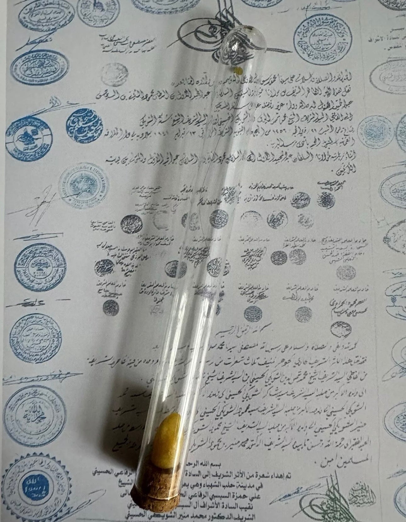 Hair of head of The Holy Prophet ﷺ