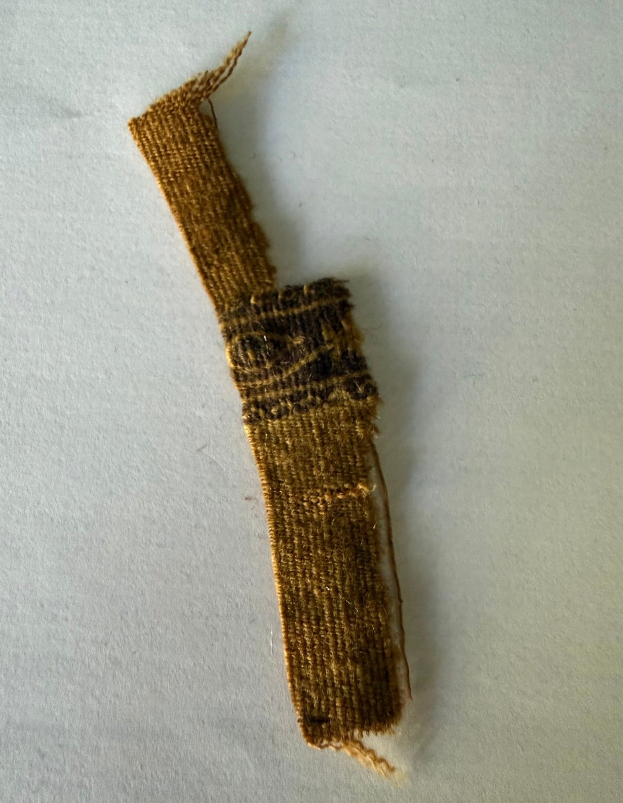 Shirt of sayudina Fatima AS  certified