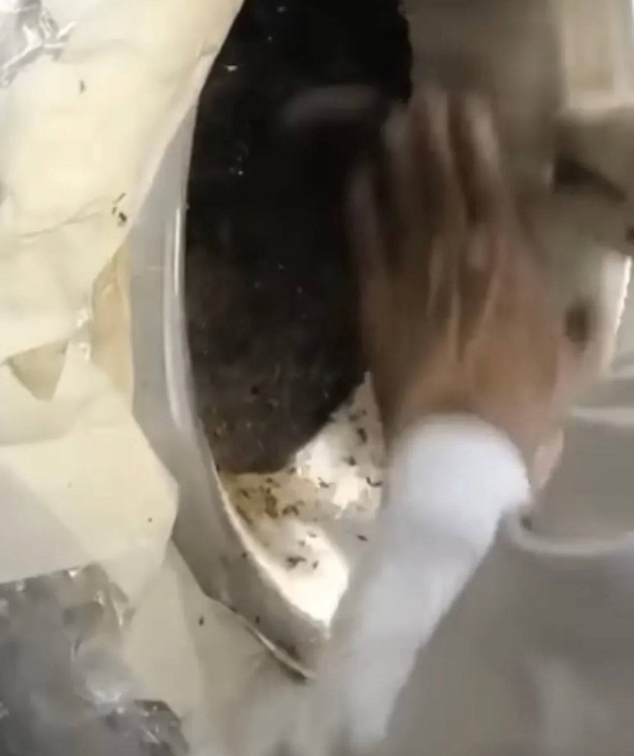 Islamic Hajr E Aswad Stone Cement Tar 4 Pieces