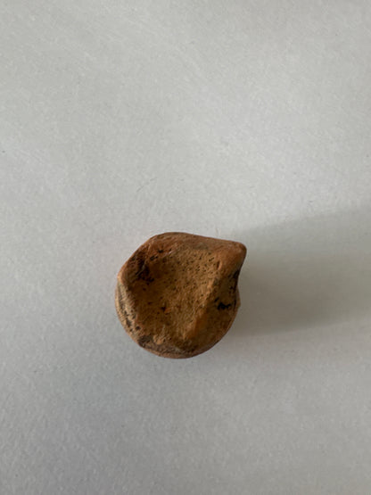 Clay pot lid found in house of Hz Ali and Sayudina Fatima House MADINA SAUDI ARABIA