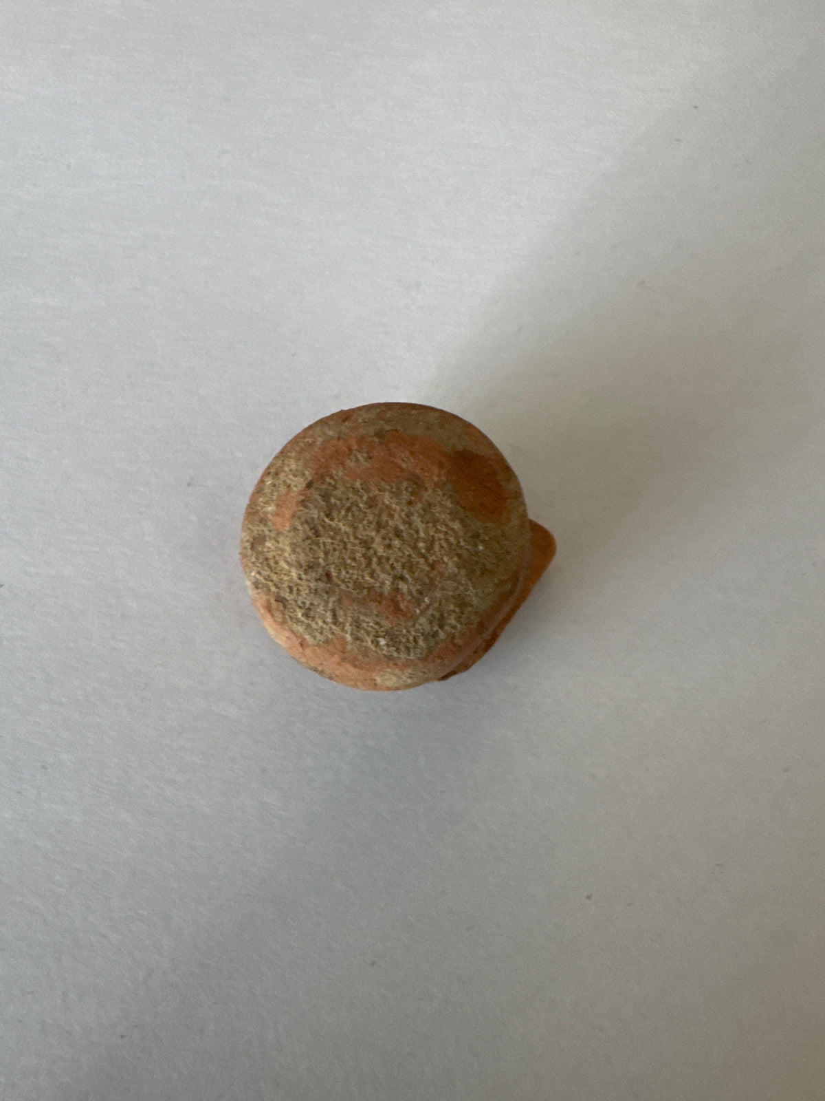 Clay pot lid found in house of Hz Ali and Sayudina Fatima House MADINA SAUDI ARABIA