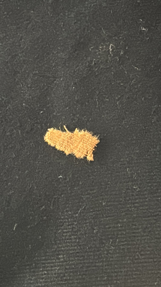 Shirt of The Prophet ‎ﷺ