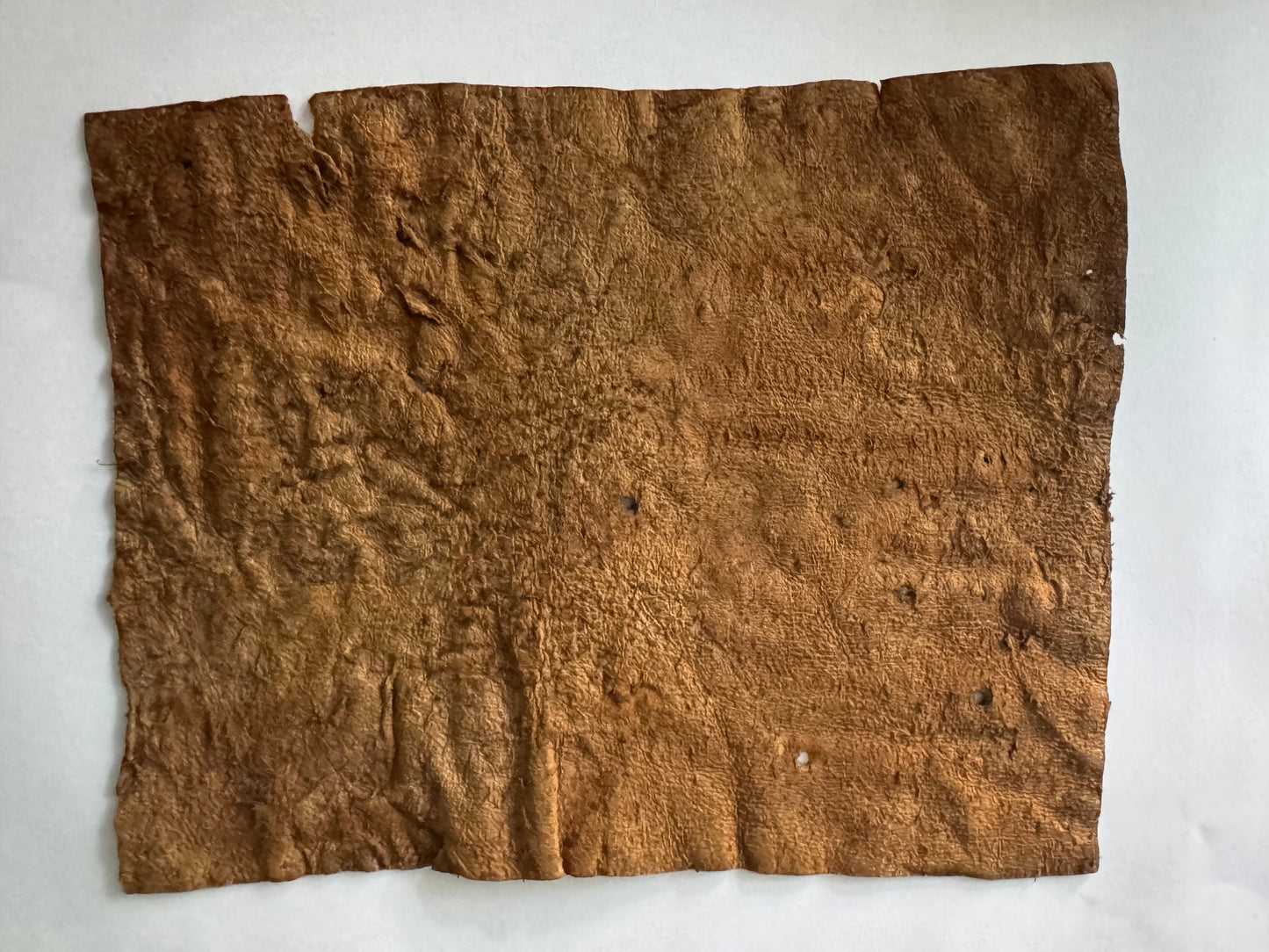 Quran manuscript on leather written by Abu Bakr RA certified
