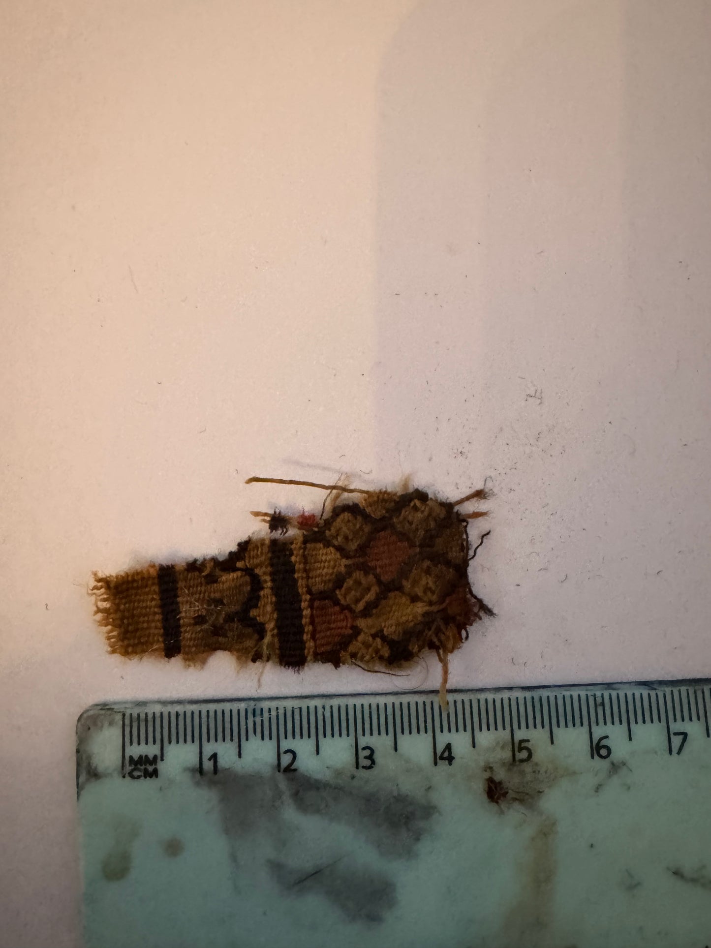 Shirt of sayudina Fatima AS  certified