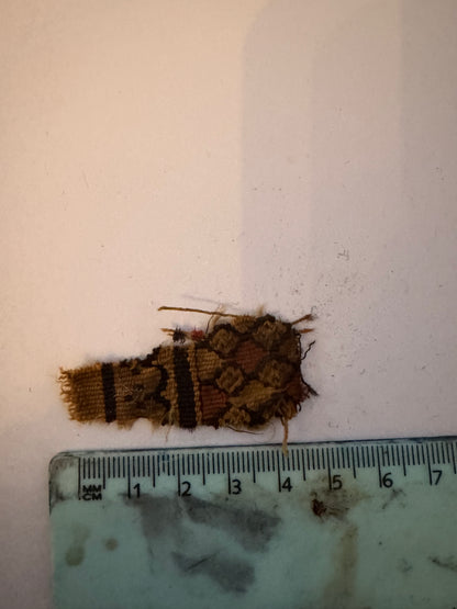 Shirt of sayudina Fatima AS  certified