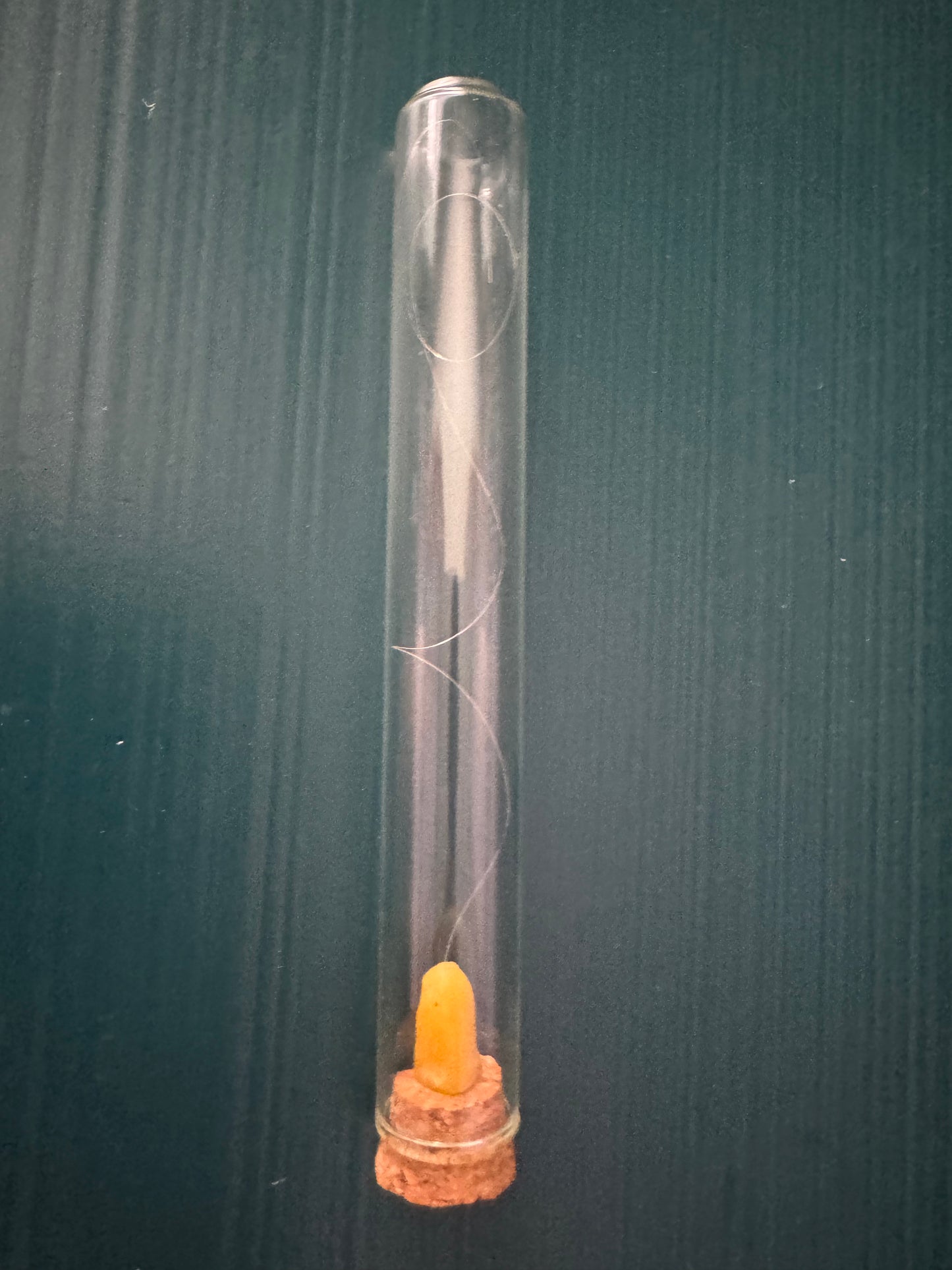 Hair strand of Imam Ali as